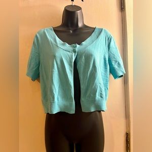 New York & Company Blue Crop Sweater